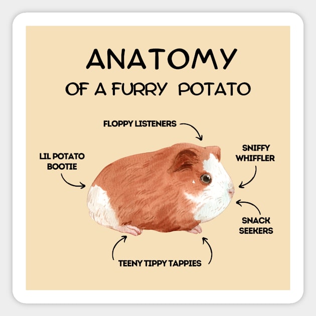 Anatomy of a Furry Potato. Guinea Pig. Guinea Pig Mom. Guinea Pig Dad Sticker by Olalart